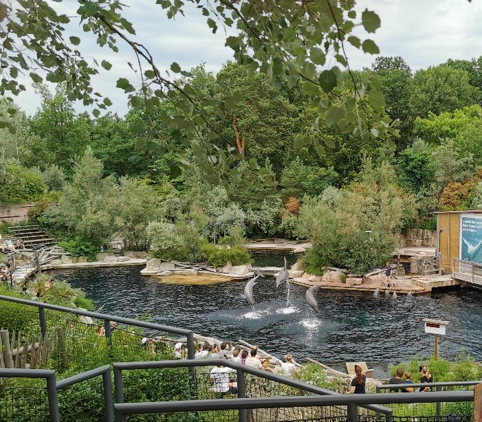 Ausflug in den Tiergarten Nürnberg