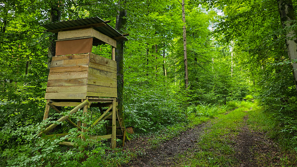 JG Zillbach Vollversammlung