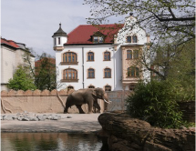 Ferienfreizeit